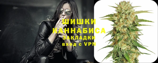 мескалин Богородицк