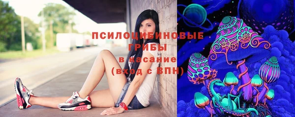 мескалин Богородицк
